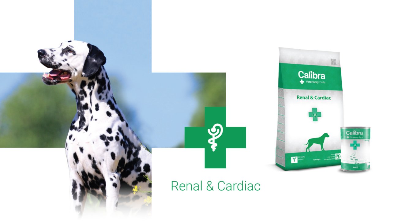 CALIBRA - VD - podklady pro SK - úvodní foto - 7-21 - Renal